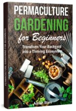 Permaculture Gardening for Beginners: Transform Your Backyard Into a Thriving Ecosystem