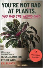 Houseplants for People Who Kill Plants: Low-maintenance Indoor Plant Guide for Renters, and Beginners