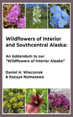 Wildflowers of Interior and Southcentral Alaska: an Addendum to Our "wildflowers of Interior Alaska"
