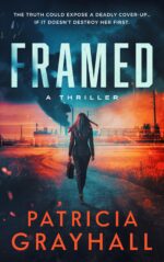 Framed: a Thriller