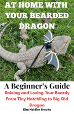 At Home With Your Bearded Dragon: a Beginner’s Guide: Raising and Loving Your Beardy From Tiny Hatchling to Big Old Dragon