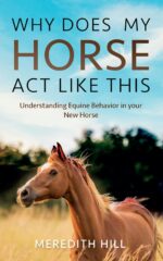 Why Does My Horse Act Like This: Understanding Equine Behavior in Your New Horse