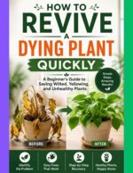 How to Revive a Dying Plant Quickly