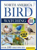 North America Bird Watching: an Interactive Field Guide Featuring Over 100 Bird Species With Stunning Color Photos and Birdsong Audio