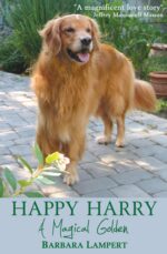 Happy Harry: a Magical Golden Dog