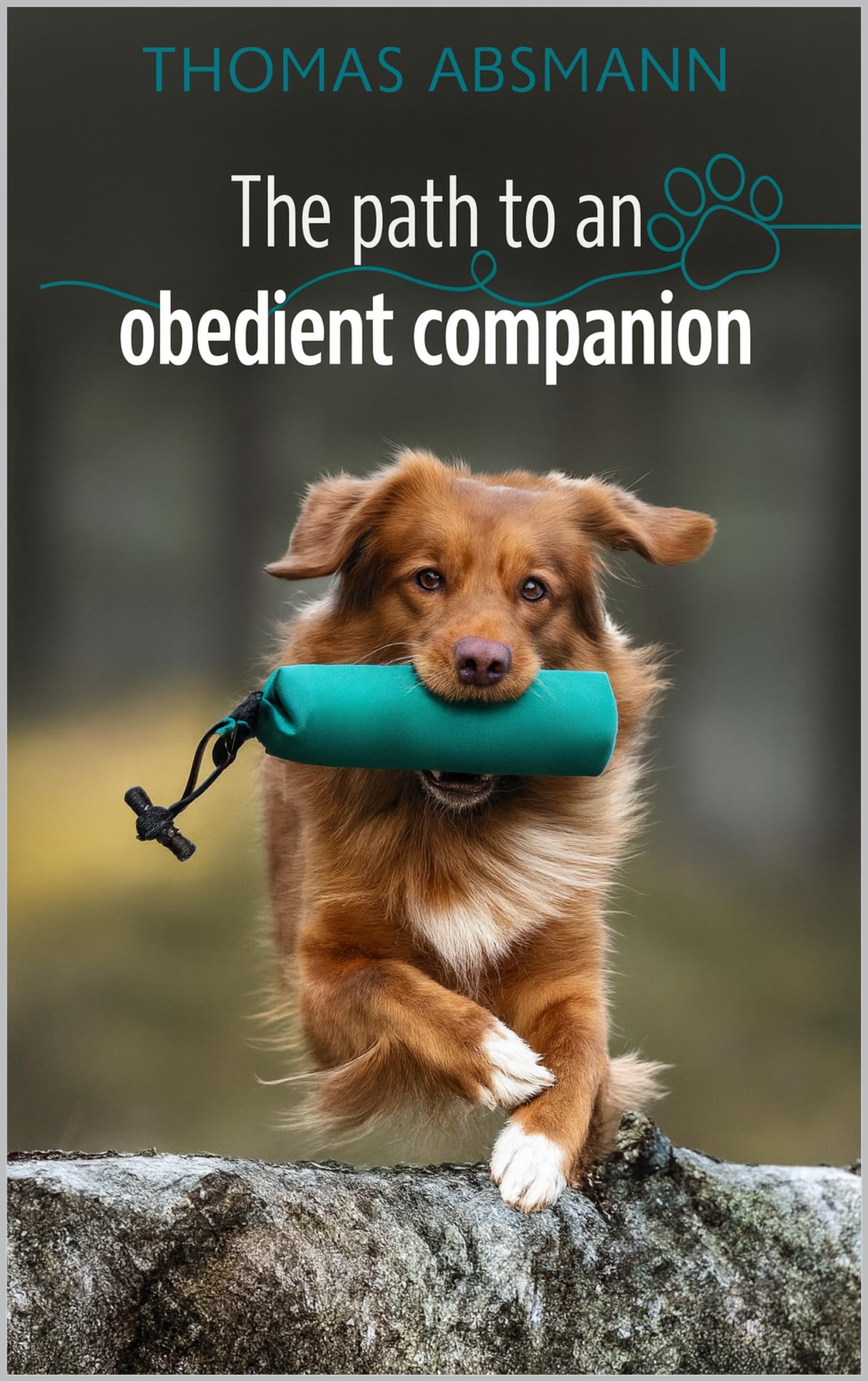 The Path to an Obedient Companion
