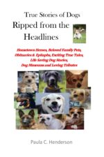 True Stories of Dogs Ripped From the Headlines: Hometown Heroes, Beloved Family Pets, Obituaries & Epitaphs, Exciting True Tales, Life Saving Dog Stories, Dog Museums, and Loving Tributes