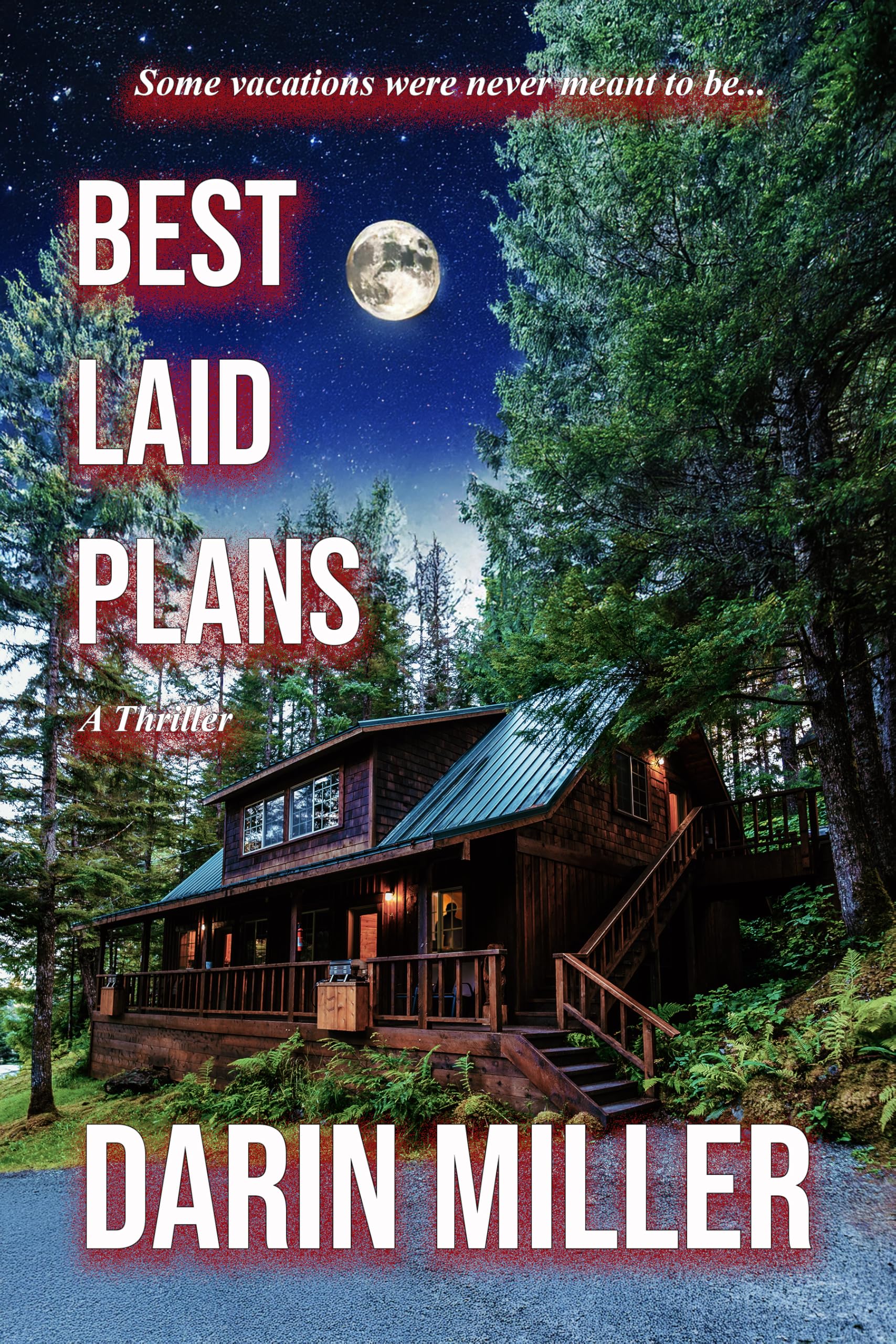 Best Laid Plans: a Thriller