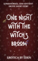 One Night With the Witch’s Broom: a Paranormal Semi-sentient Erotica Night... On