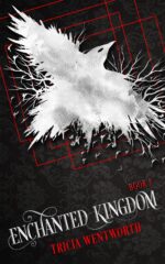 Enchanted Kingdom Enchanted Kingdom Series Book