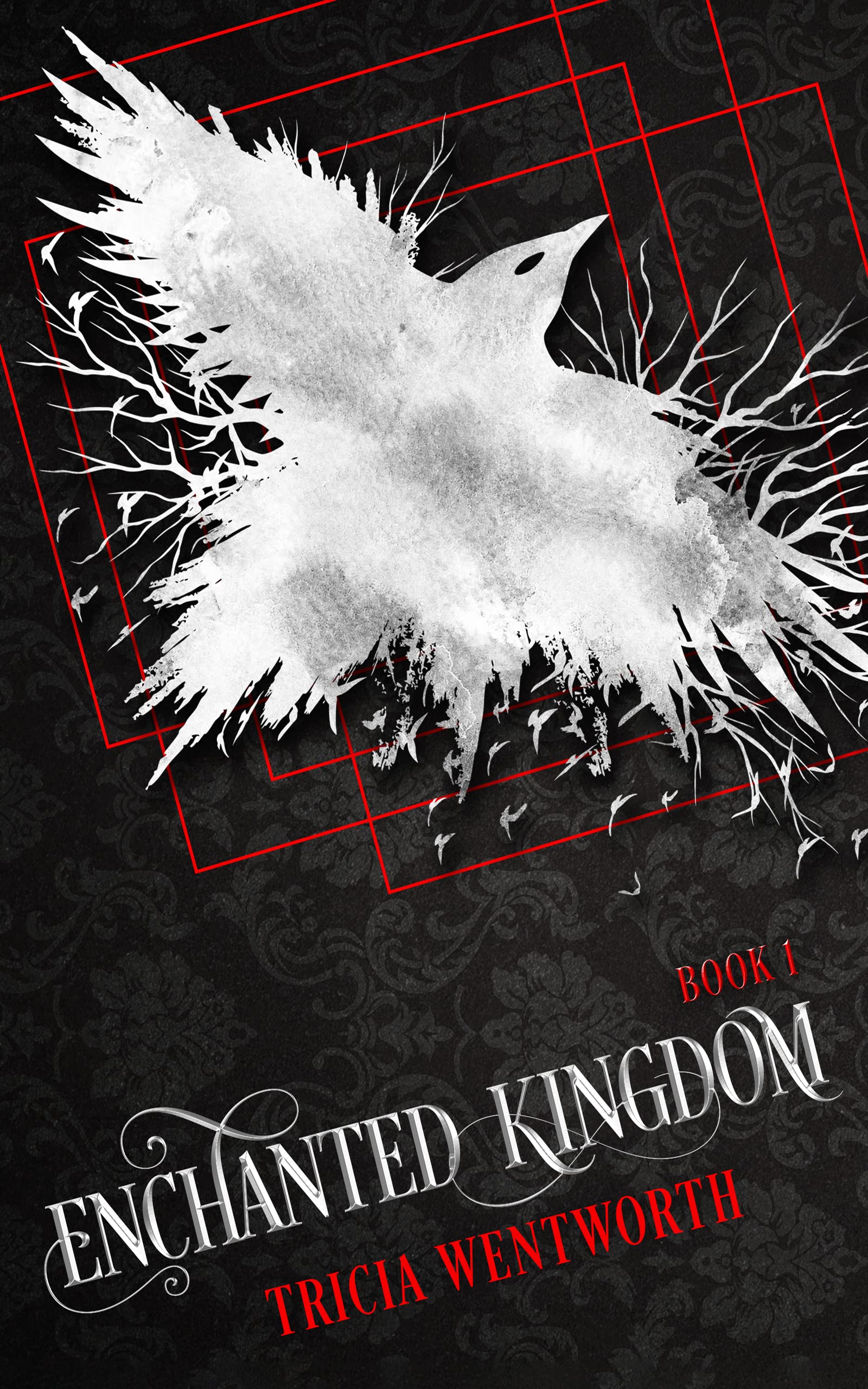 Enchanted Kingdom Enchanted Kingdom Series Book