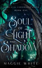 Soul of Light and Shadow of the Underworld Book