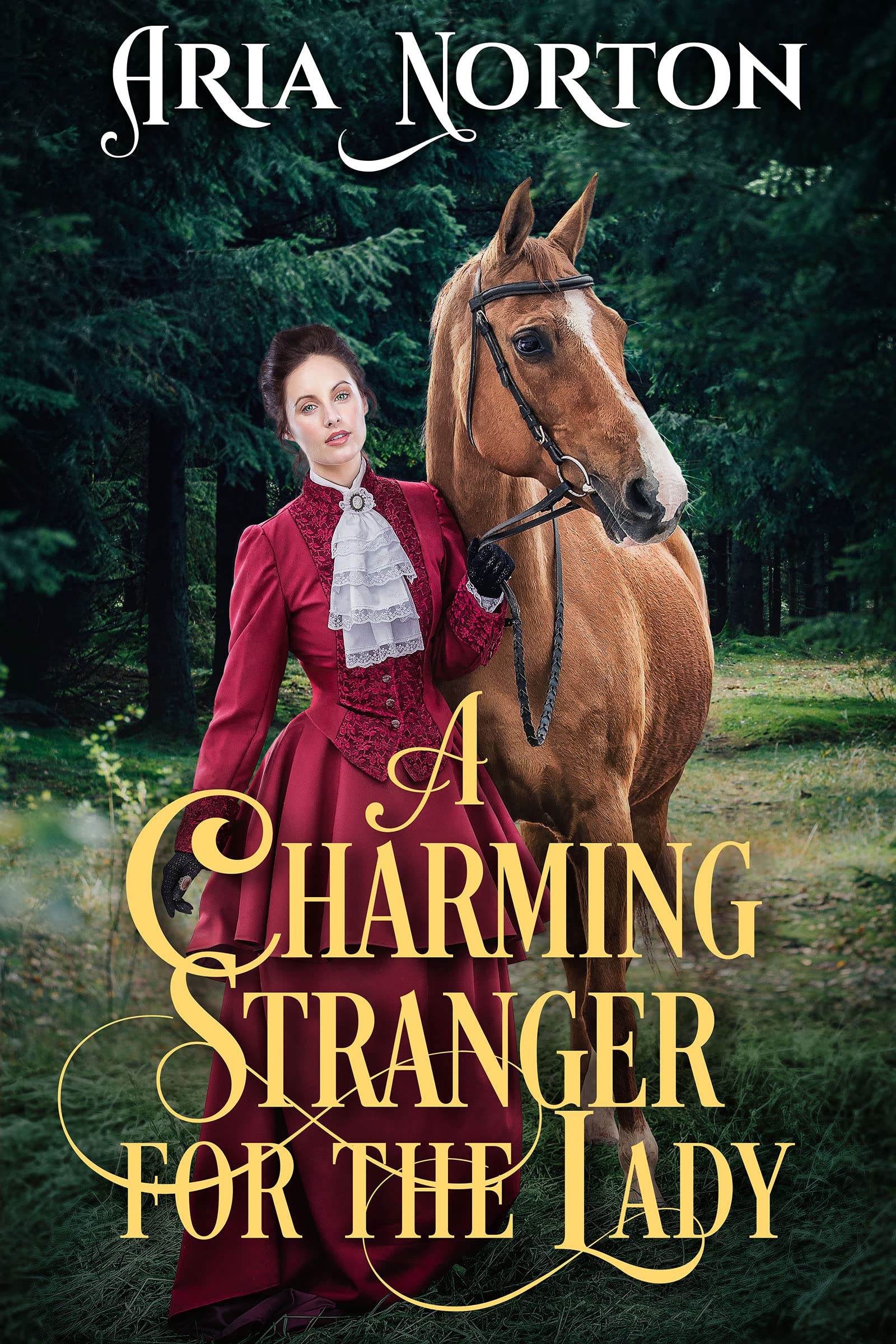 A Charming Stranger for the Lady: a Historical Regency Romance Novel of Regency