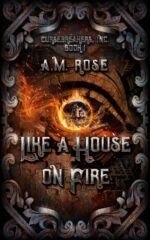 Like a House on Fire Inc. Book
