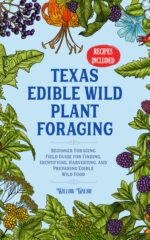 Texas Edible Wild Plant Foraging: Beginner Foraging Field Guide for Finding, Identifying, Harvesting, and Preparing Edible Wild Food Foraging Series Book