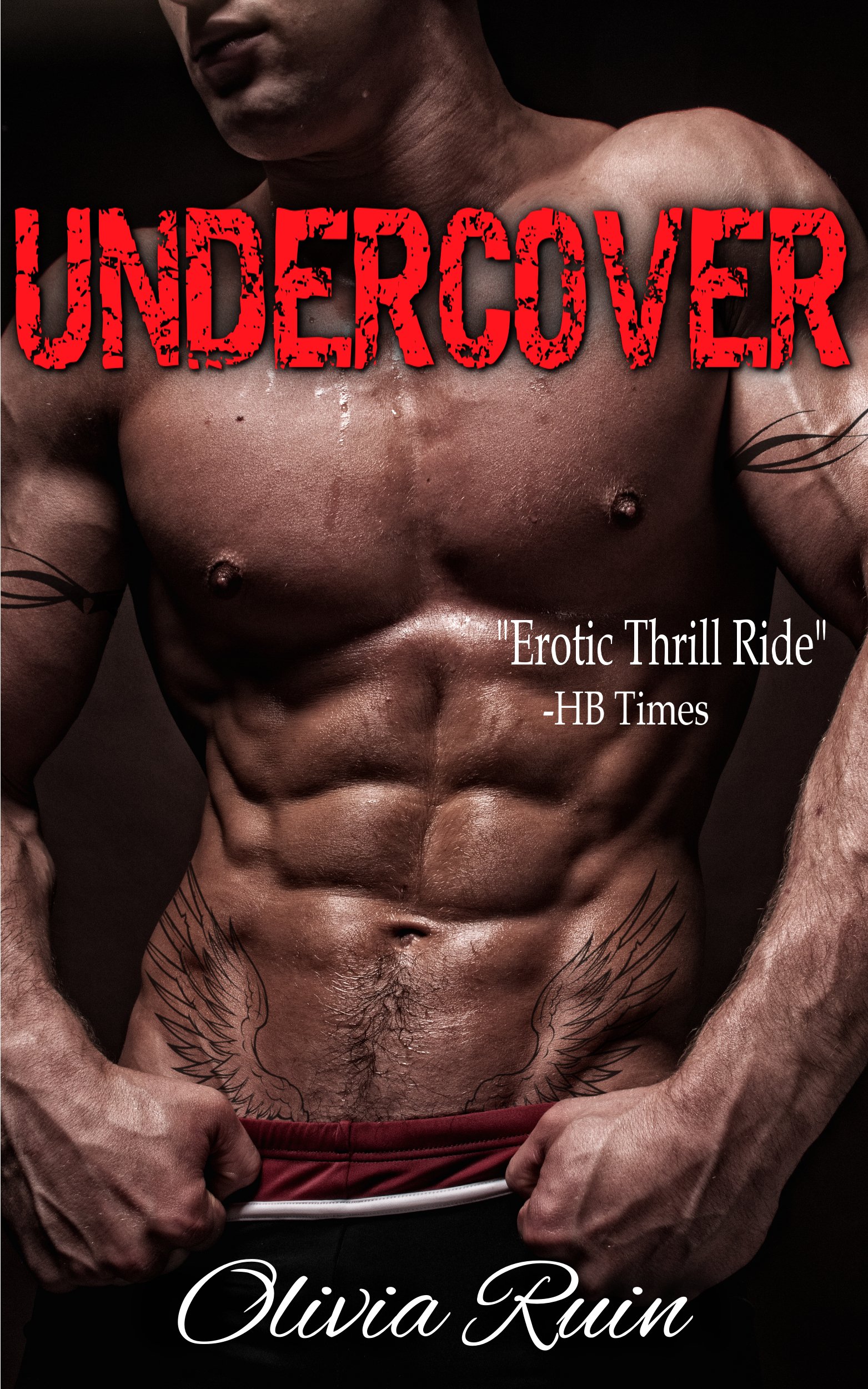 Undercover Enemy Mc Romance Book