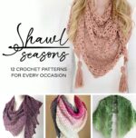 Shawl Seasons: 14 Crochet Patterns for Every Occasion