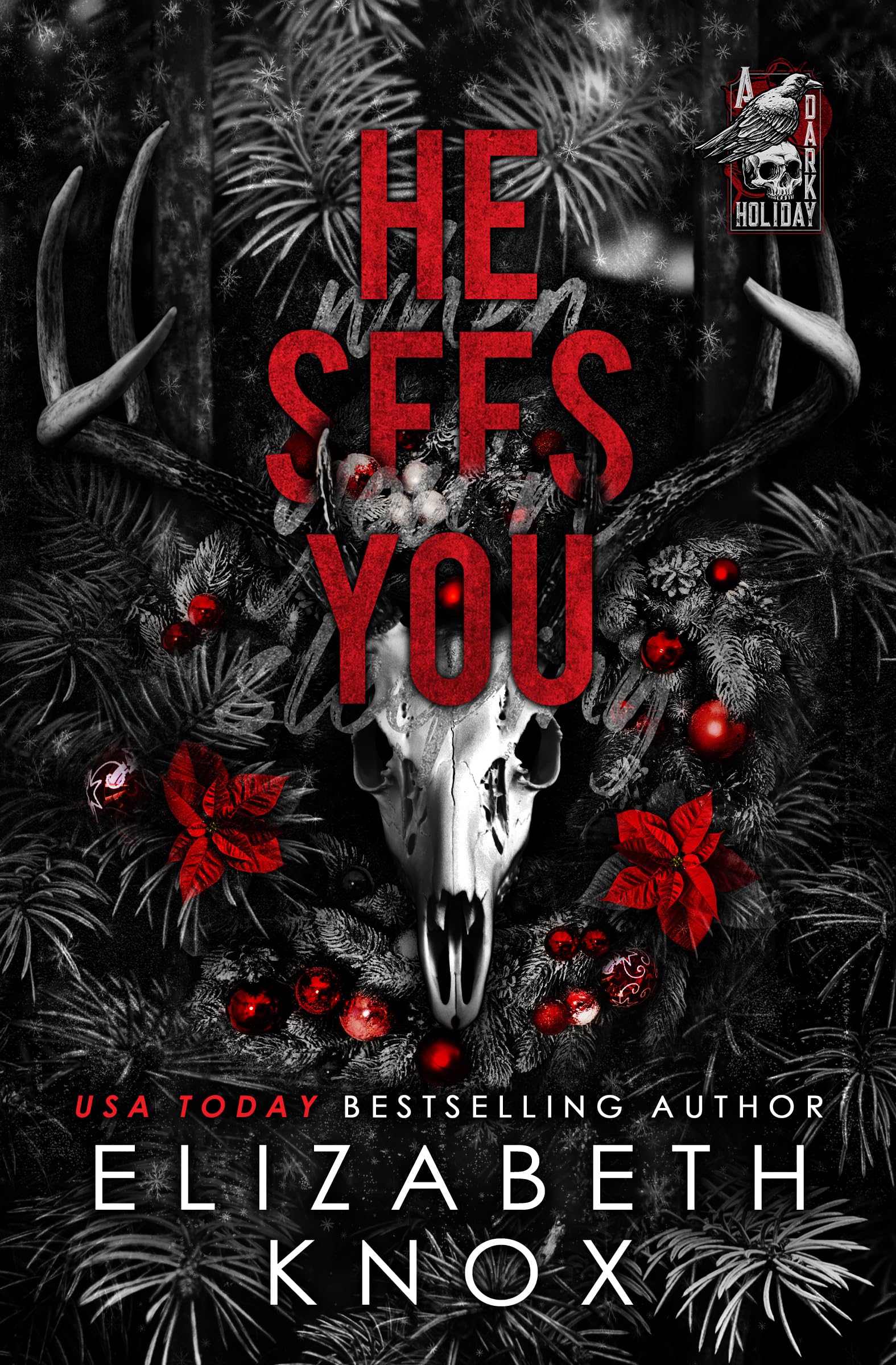 He Sees You: a Dark Christmas Romance Dark Holiday Book