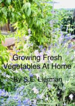 Growing Fresh Vegetables at Home