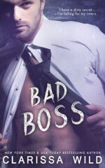 Bad Boss Bad Boys Book