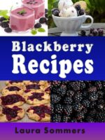 Blackberry Recipes