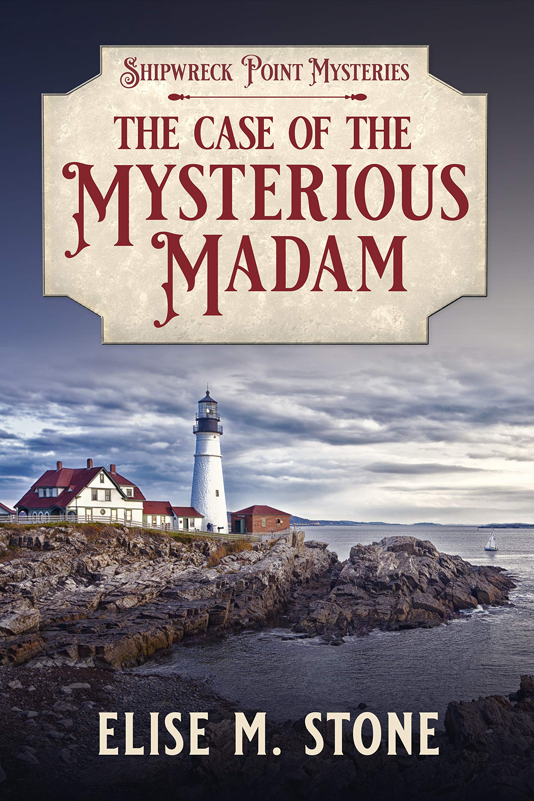 The Case of the Mysterious Madam Point Mysteries Book