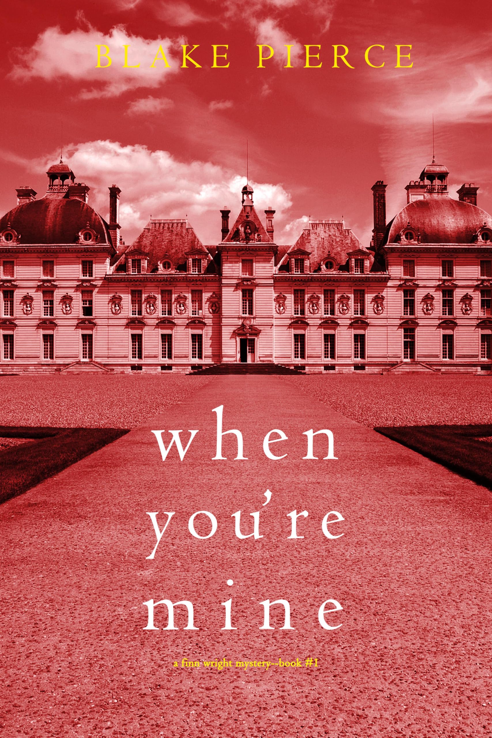 When You're Mine Finn Wright Mystery Book