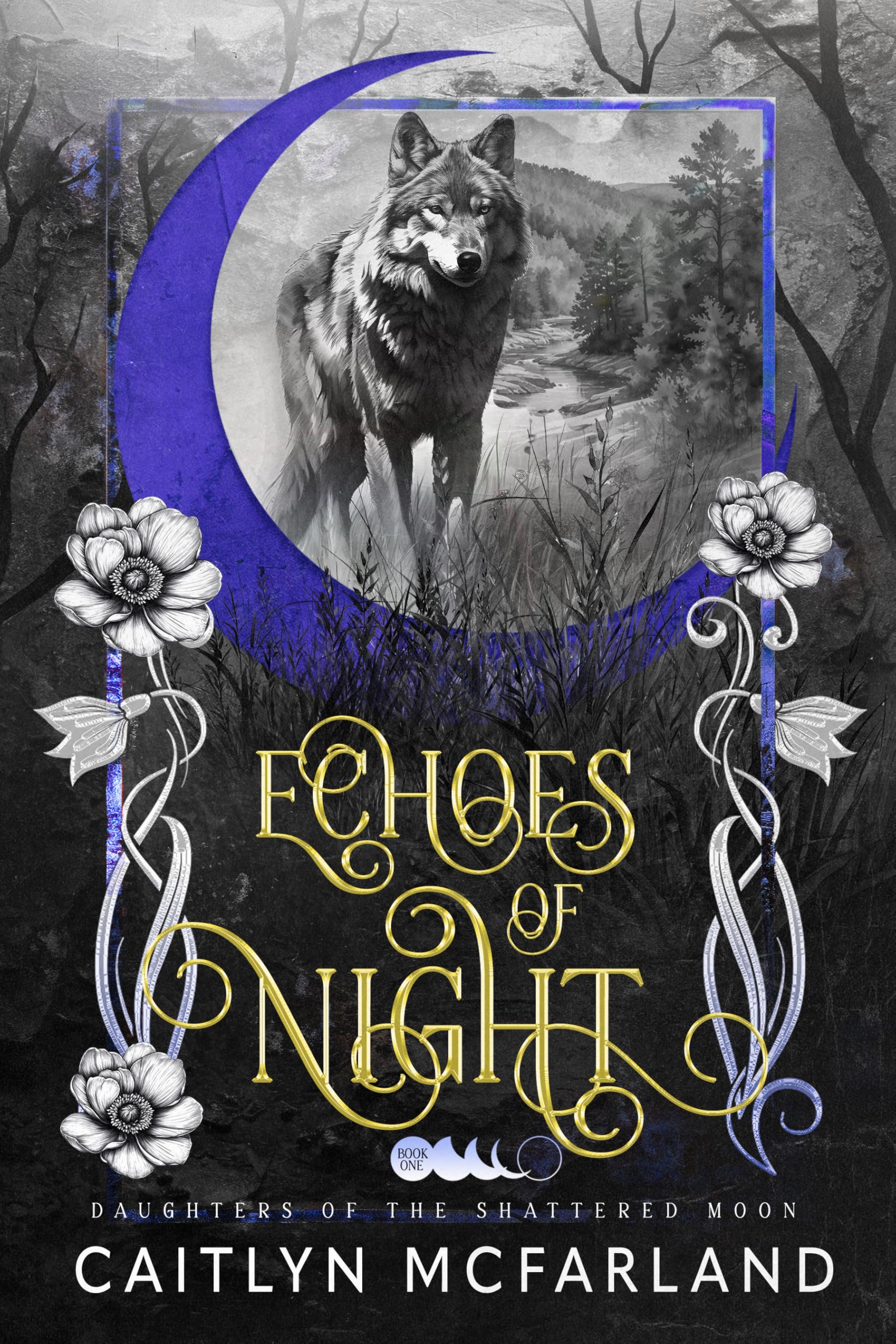 Echoes of Night of the Shattered Moon Book