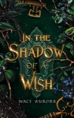 In the Shadow of a Wish: a Fairytale Reimagining With Spice Fairytales Book