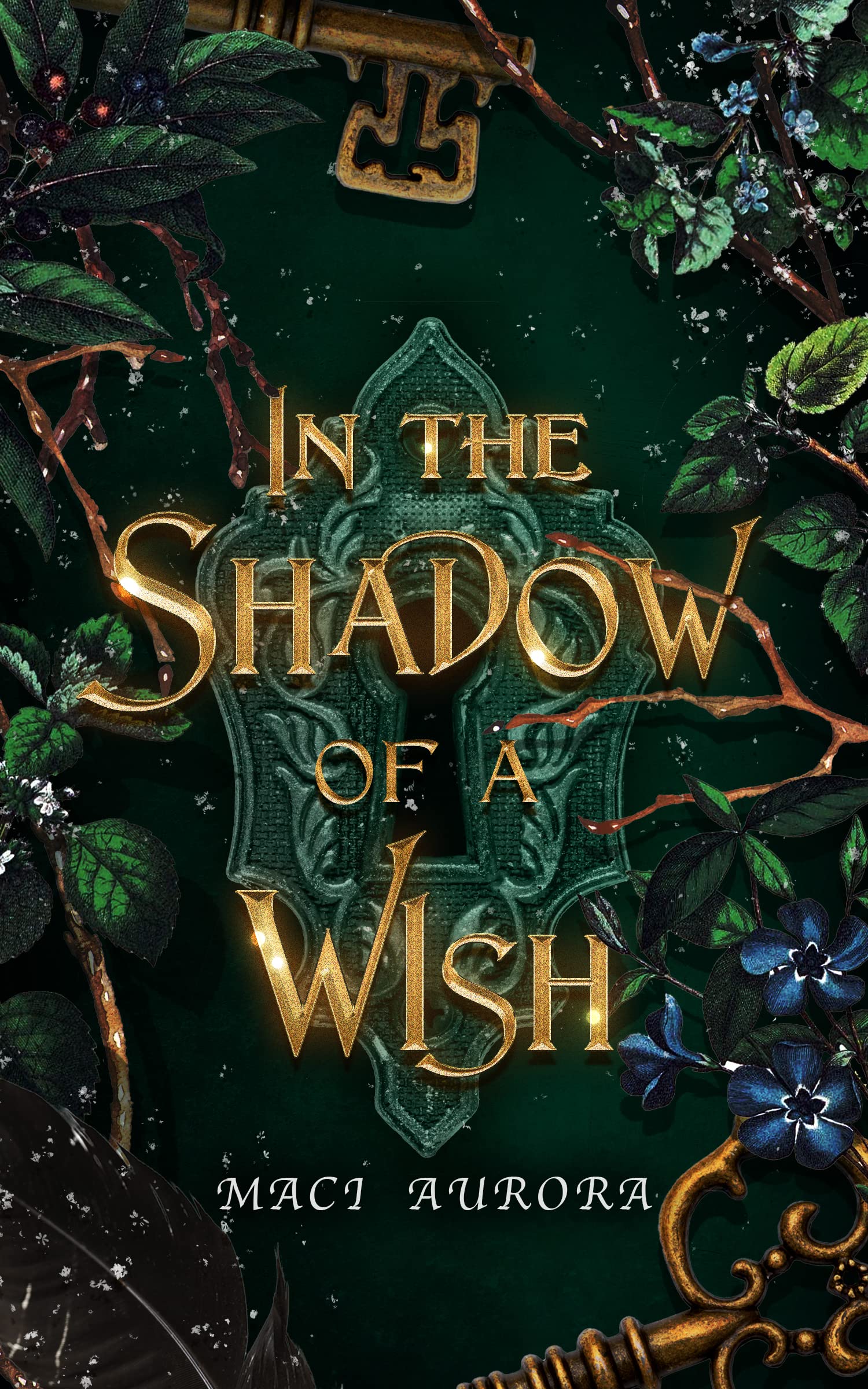 In the Shadow of a Wish: a Fairytale Reimagining With Spice Fairytales Book