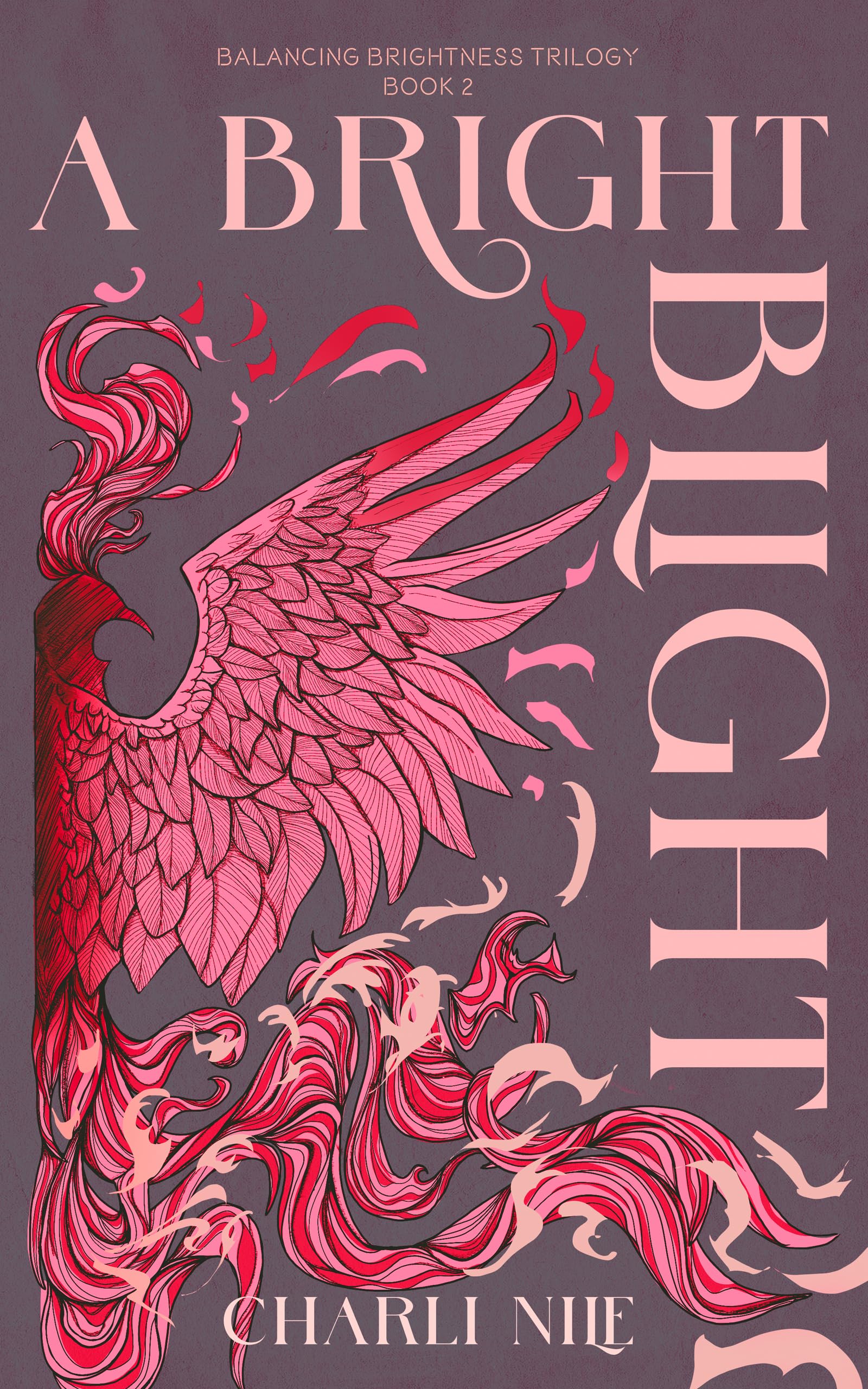 A Bright Blight Balancing Brightness Trilogy Book