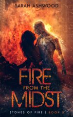 Fire From the Midst of Fire Book