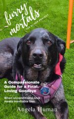 Furry Mortals: the Oliver Project