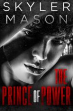 The Prince of Power: a Dark College Romance Boys and Their Games Book