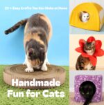 Handmade Fun for Cats: 20 + Easy Crafts You Can Make at Home