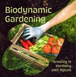 Biodynamic Gardening: Growing in Harmony With Nature