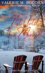 Not Until This Moment: a Christian Romance Novella Springs Book