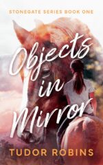 Objects in Mirror Series Book
