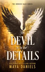 The Devil Is in the Details: an Enemies-to-lovers Urban Fantasy Romance With Forbidden Magic, and One Badass Heroine Broken Halos Series Book