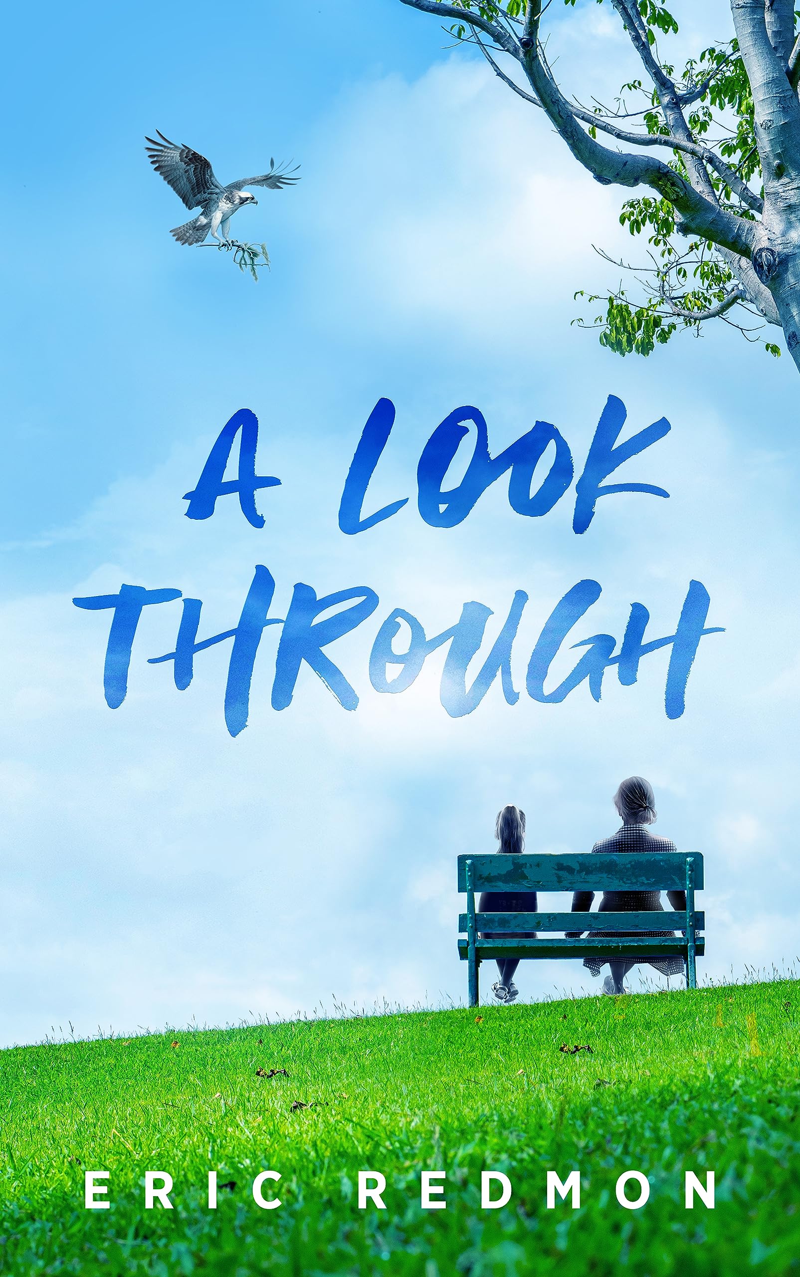 A Look Through