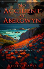 No Accident at Abergwyn : Tudor and Stewart Cosy Mystery 1 and Stewart Abergwyn