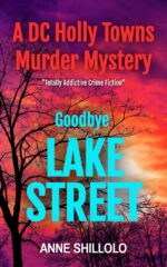 Goodbye Lake Street: Totally Addictive Crime Fiction Dc Holly Towns Murder Port Alma Murder Mystery Book