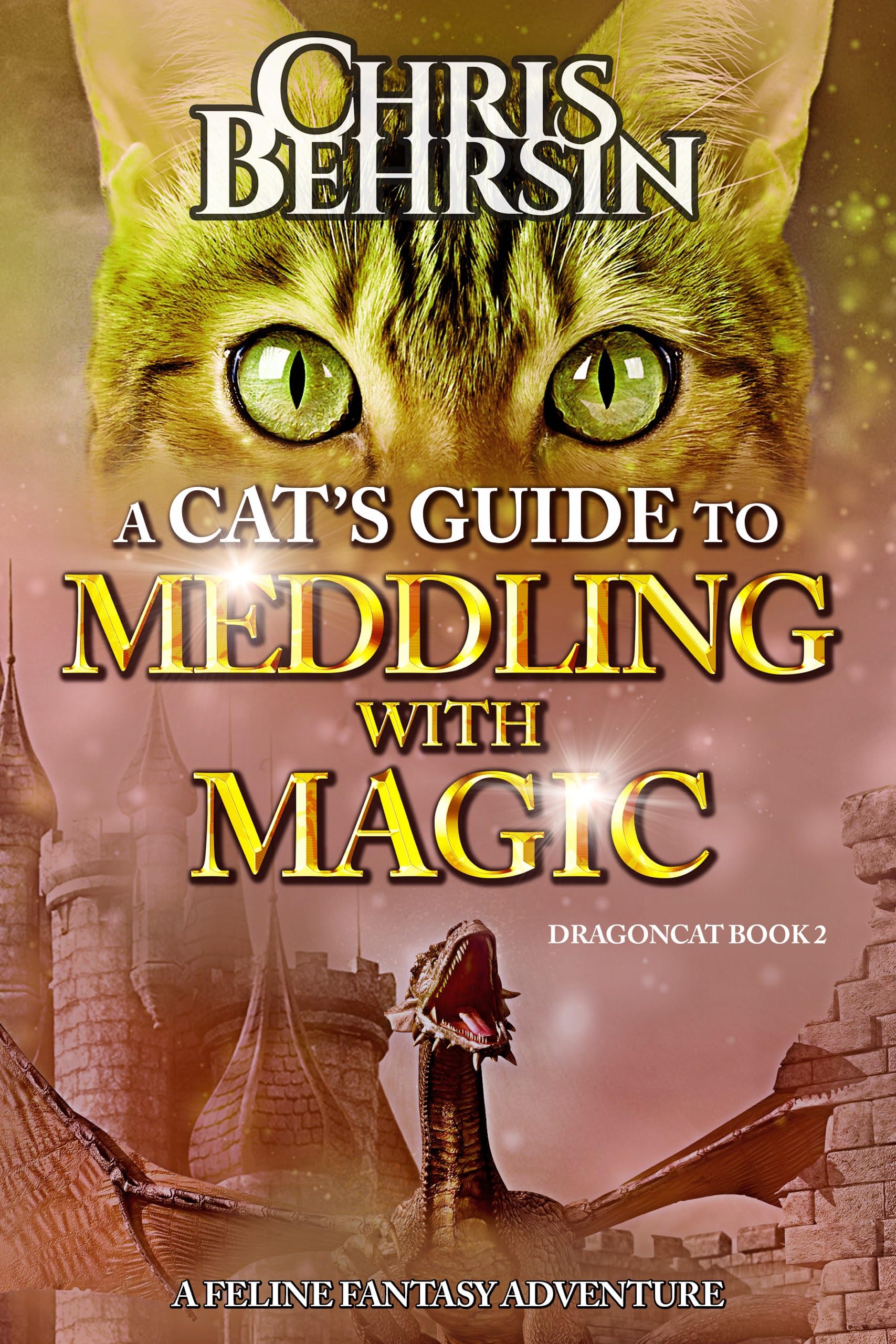 A Cat's Guide to Meddling With Magic: a Feline Fantasy Adventure Book