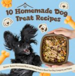 10 Homemade Dog Treat Recipes: Science-backed Homemade Meals and Healing Treats to Boost Your Dog’s Longevity and Vitality