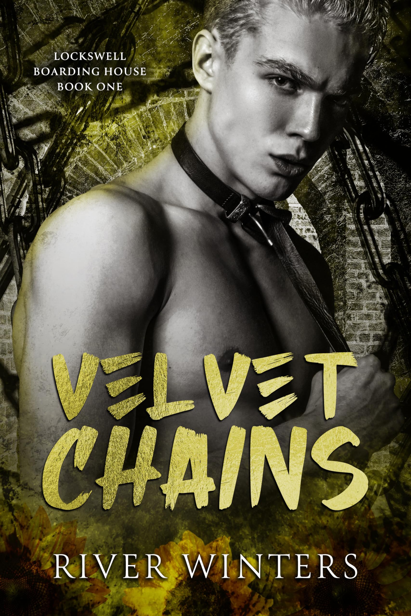 Velvet Chains Boarding House Book