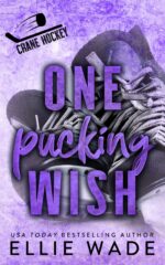 One Pucking Wish: an Enemies to Lovers, Forced Proximity, Only One Bed Hockey Romance Hockey Book