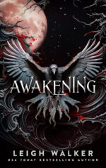 Awakening of Dawnhaven Book