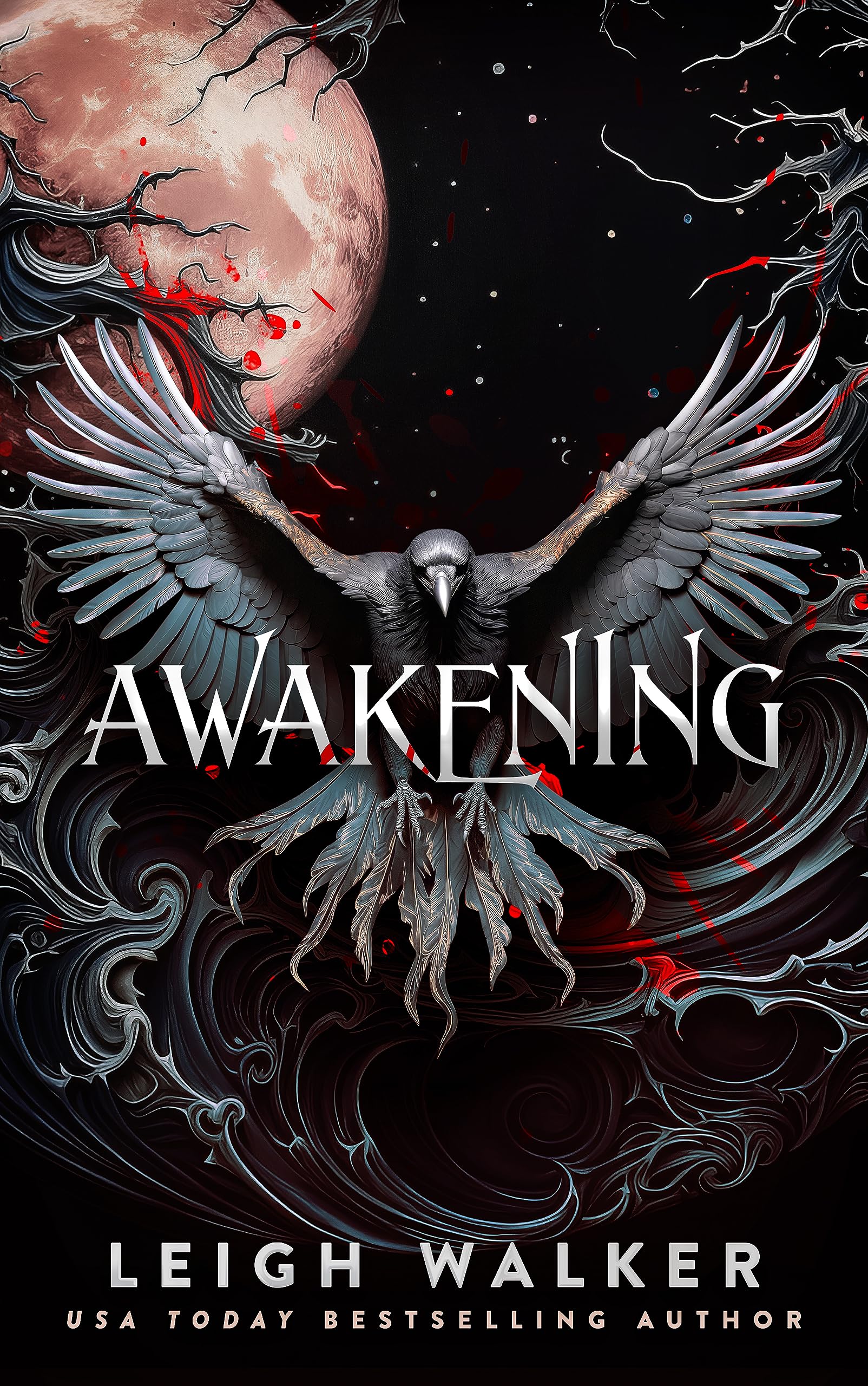 Awakening of Dawnhaven Book