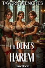 Tavern Wenches - the Dukes Harem: Story of a Medieval Free Use Toy Castle's Spicy Secrets Book