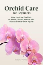 Orchid Care for Beginners: How to Grow Orchids at Home, Water, Repot and Make Them Bloom Again